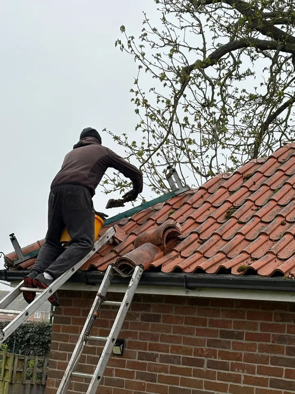 Stormproof roofer working on the clay pantile roof of a Suffolk cottage