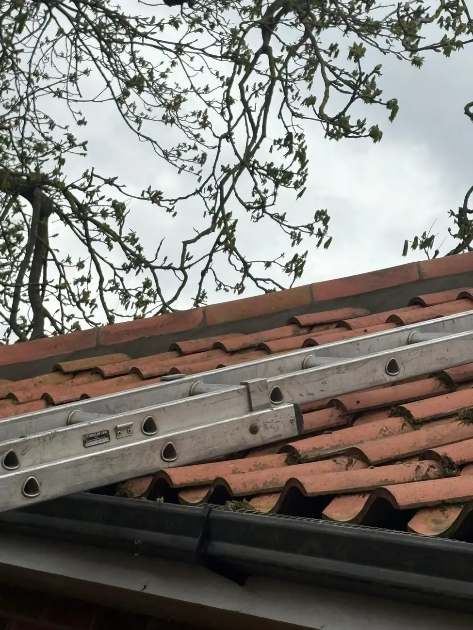 Clay pantile eaves detail on a Suffolk cottage re-roof